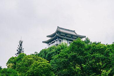 年轻的女教师毛茸茸的量藏｜女教师“毛茸茸的量藏”事件引发隐私保护与价值观反思